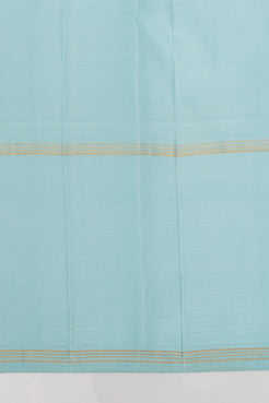 Sky blue brown multi checks pure kanchipuram silk saree